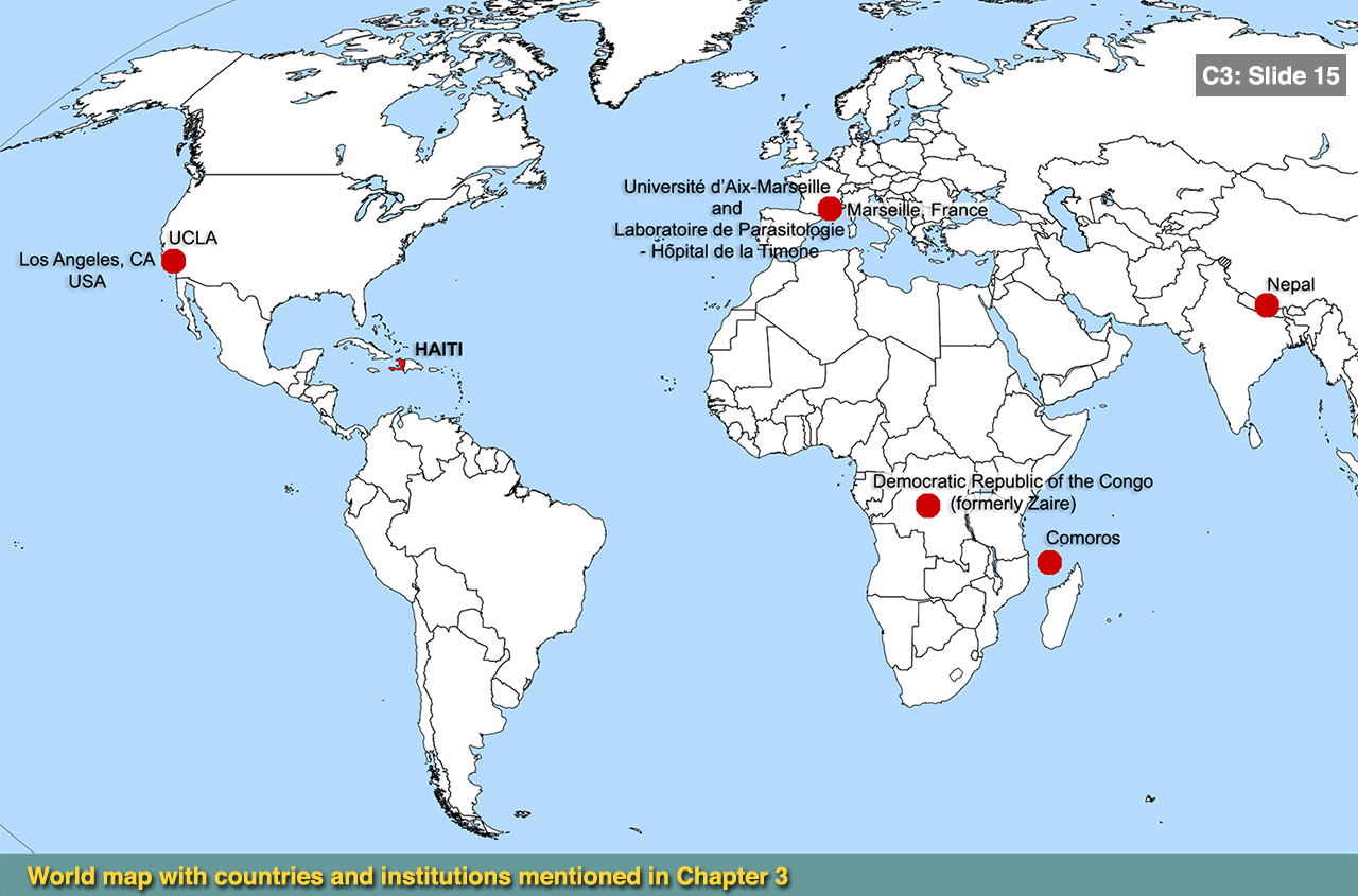 Fifteenth slide image