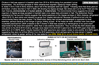 Thumbnail Image 1
